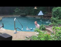 Man swims with a goose in the pool while it rains