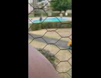 Shirtless guy walk beside pool hold shirt