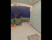 Boy shouts enjoy milk delivers with dad