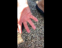 Kid amused with dad make pebbles float