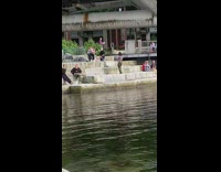 Woman gray polo crop top dance riverpark