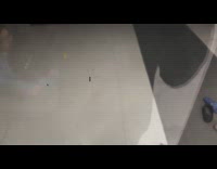 Thin bug bounces on the glass window