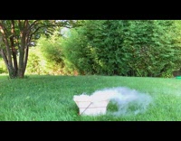 Cyclocopter drone fly with paddle wheel propulsion