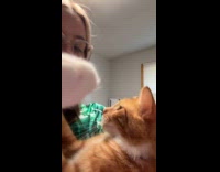 Cat mad at hooman covers her mouth
