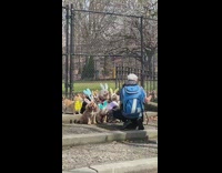 Photographer poses dogs wearing bunny ears