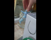 Collab BitchMP - Blue toy soaked in water thick