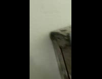 Collab BitchMP - Guy runs from police arrested in front of apartment door