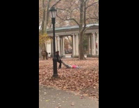 Collab winy - Woman pulls mannequin body at the park