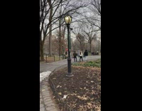 Live music and a guy playing drums at Central Park 
