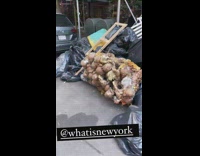 Guy Finds Tons of Mannequin  Heads Next to Trash 