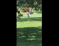 Guy red shirt kick leaves dog park