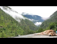 Time Lapse of the Himalayan Mountain with pet dog asleep