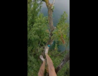POV guy juggle balls and dive from tree