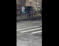 Dog rides skateboard on street while owner pushes 
