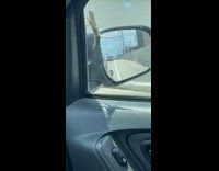 Gecko lizard on car window flies off 