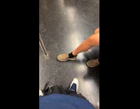 Passenger hitting calf with spring wand
