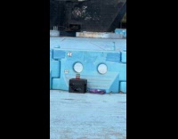 Birds eat chips from bag on ground