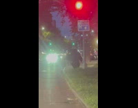 Guy wearing a gorilla costume stands at sidewalk