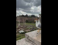 Girl making noise at two seagulls 