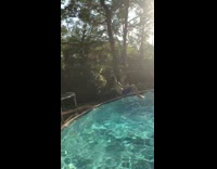 Guy trampoline double front flip into pool 