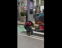 Homeless man with shopping car stabs himself with green toy knife