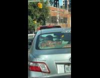 Collab WINY - Pack of sausages on car rear window