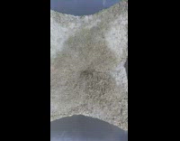 Beer hops or wheat go down cylinder