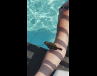 brown bird stands on womans arm