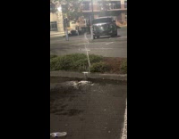 Man makes green joke about water squirting from ground