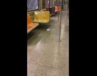 Rat runs down train aisle 