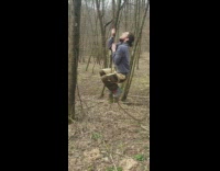 Guy tries to climb tree branch fail 