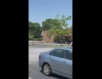 Person lean backwards swing arms beside tree