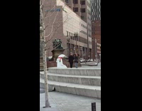 news anchor white bear statue