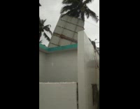 Wind blows metal roof away from tree