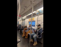 Pigeon rides subway flies around the train