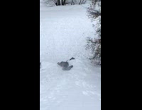 guy runs down snow hill paddles feet