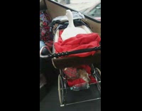 Goose and small dog sleep on baby stroller on subway