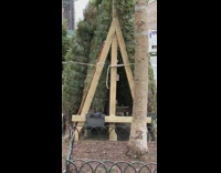 Collab WINY - Christmas trees for sale on sidewalk 