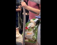 Duck in bag inside the subway train