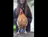 Girl moves and makes chicken dance