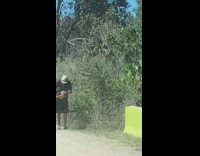 Neon green bikini girl reviews photos road