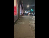 Raccoon crawls out from under car and runs off on sidewalk