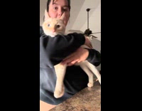Girl shows favorite cat pick up