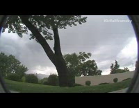 Collab scorpionmasters - Guy backflips off tree trunk and lands on head in grass,