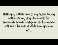 Dog eats treat before guy leaves room 