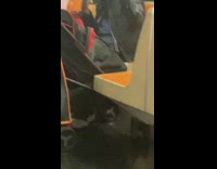 Guy black bird on shoulder subway 