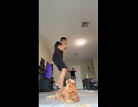 Guy dancing behind orange cat