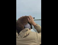 Puppy lays on guys head while riding boat 