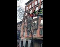 Collab WINY - Firemen help macaw parrot stuck on tree part 1