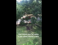 Red car drags furniture across neighborhood street